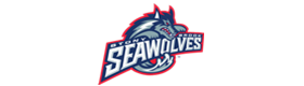 Official SBU Seawolves Jerseys Store